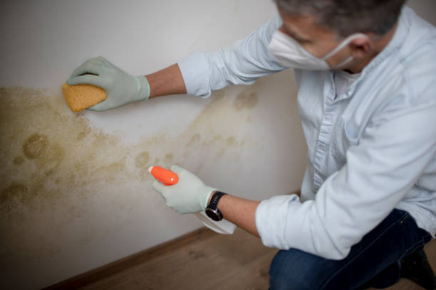 Water Damage Restoration in Citrus Park, AZ